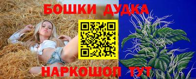 ешки Будённовск