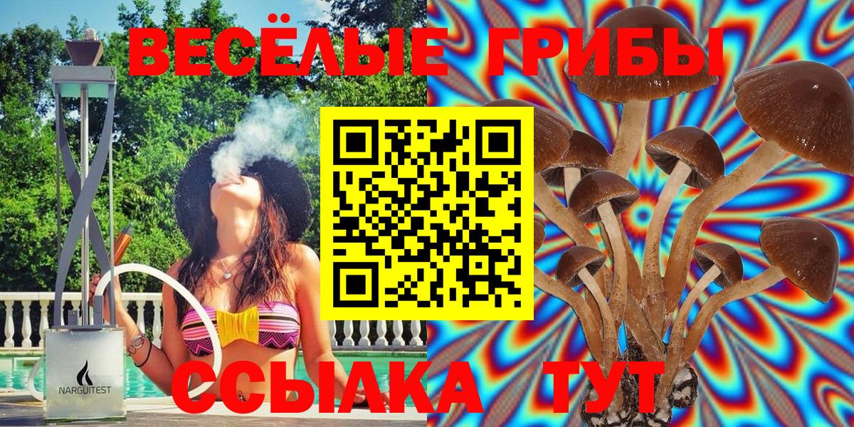 Усинск  Галлюциногенные грибы Psilocybine cubensis  цена   Вход с VPN 